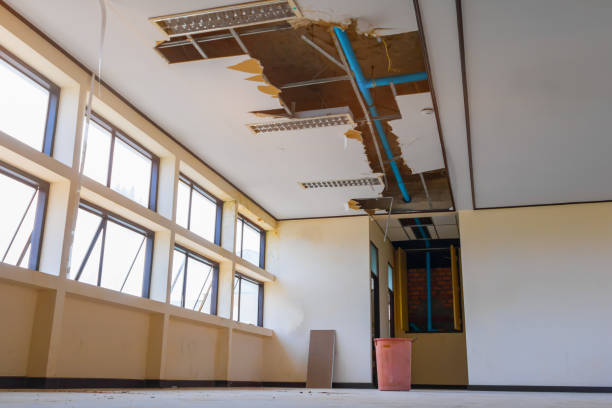 Best Sewage cleanup and water damage restoration  in Ashford, AL