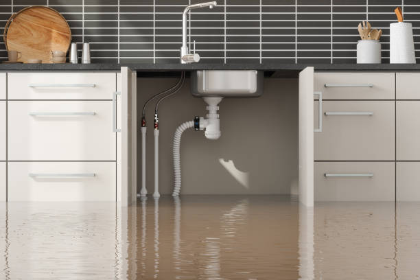 Best Commercial water damage restoration  in Ashford, AL