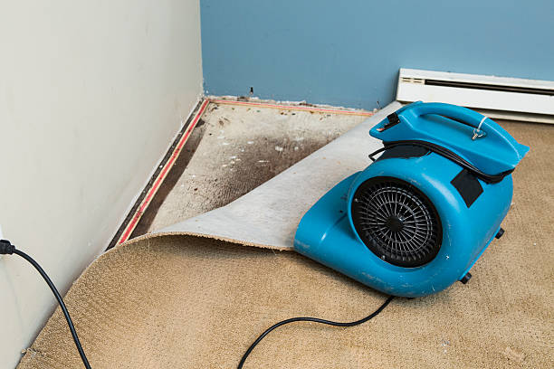 Best Fire Damage Restoration  in Ashford, AL