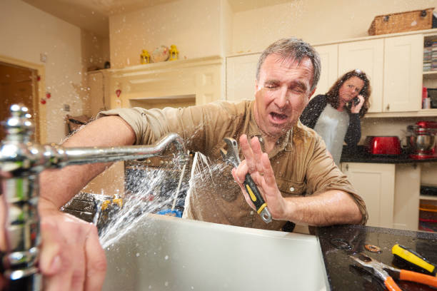 Best Water damage contractors near me  in Ashford, AL